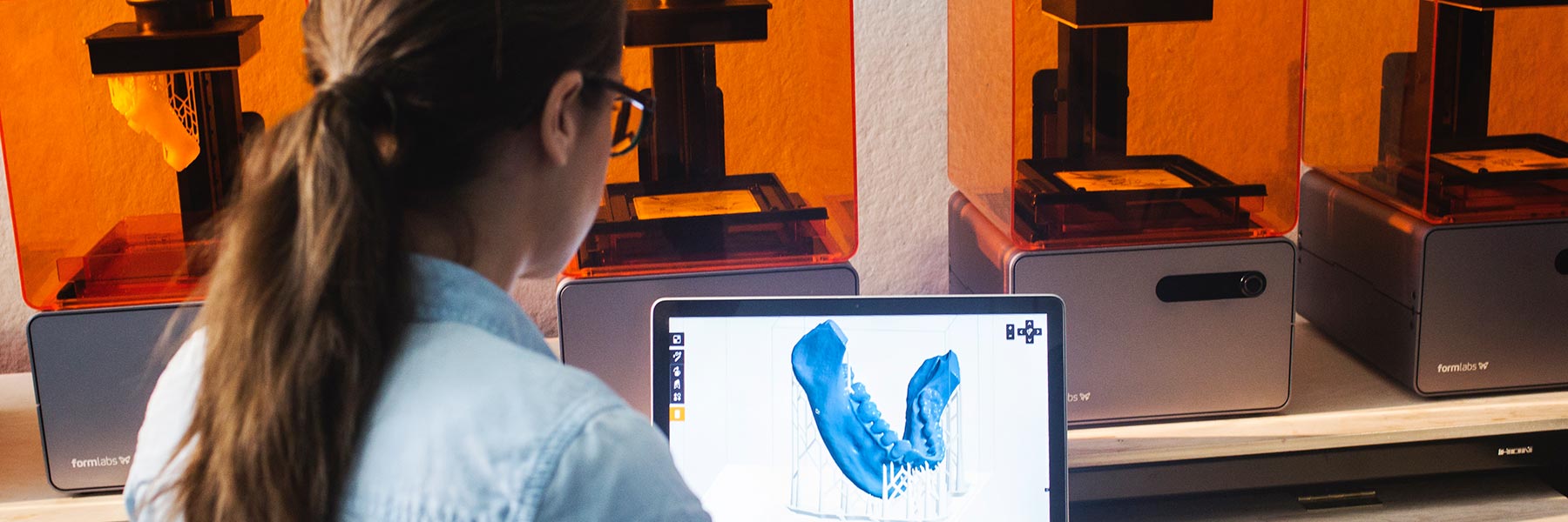 A student looks at a computer model of a lower jaw.